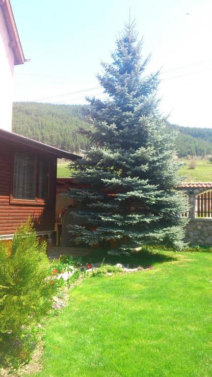 Guest House Diva Reka Beli Iskăr Exterior foto